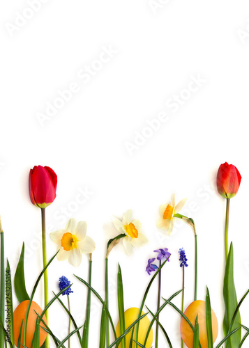 Easter decoration. Red tulips, narcissus, hyacinths, muscari, grass and colored easter eggs on white background. Top view, flat lay