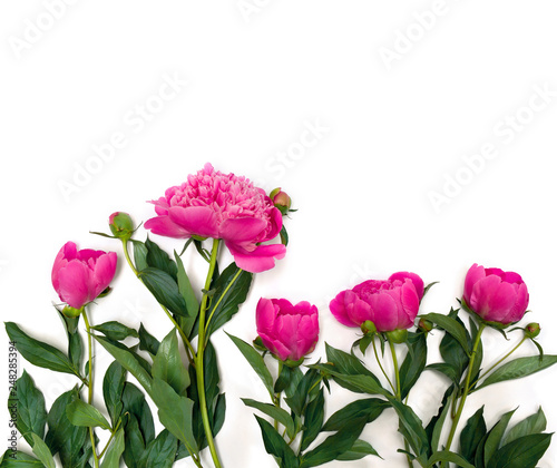 Bouquet of pink peonies on a white background. Top view  flat lay