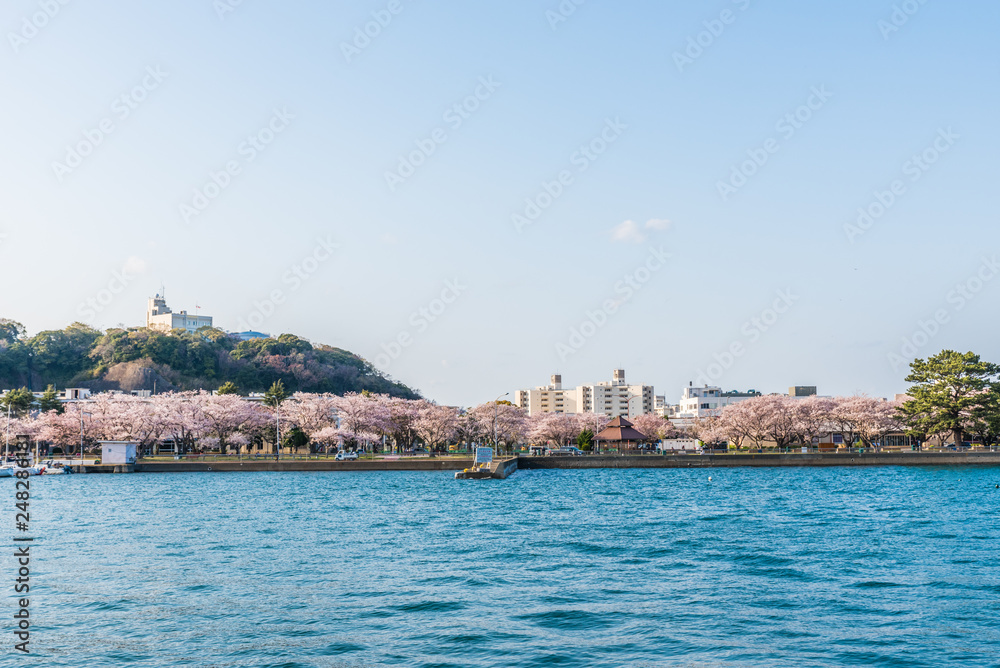 View of Yokosuka Harbour in Kanagawa Prefecture, Japan.