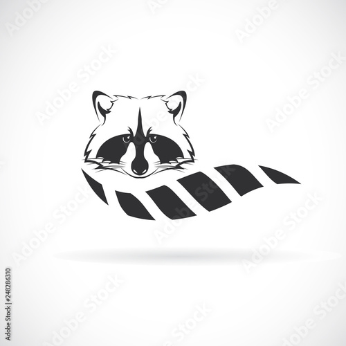 Vector of raccoon design on white background. Wild Animals. Raccoon logo or icon. Easy editable layered vector illustration.
