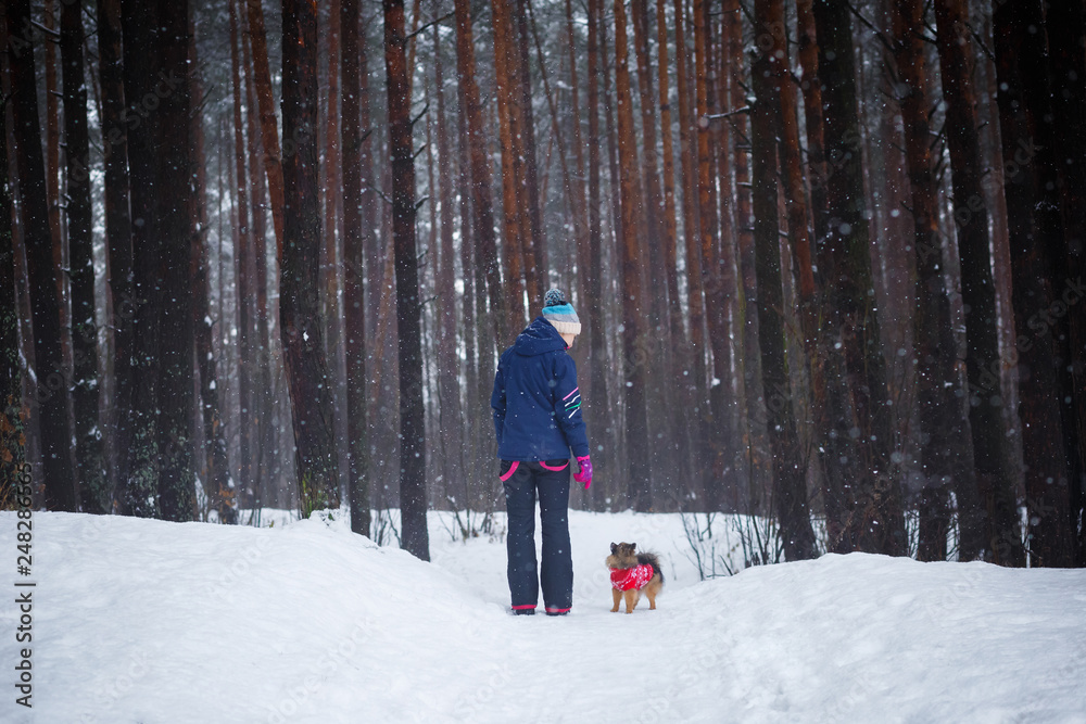 walk with the dog through the winter forest