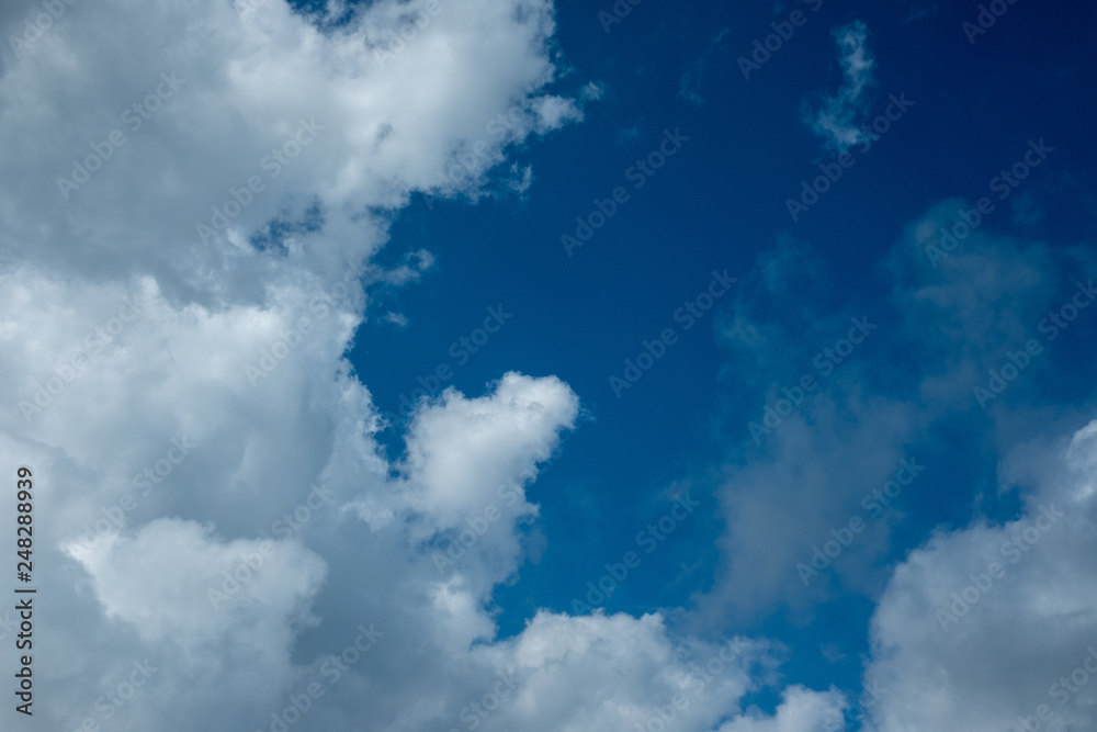 Obraz premium 青空
