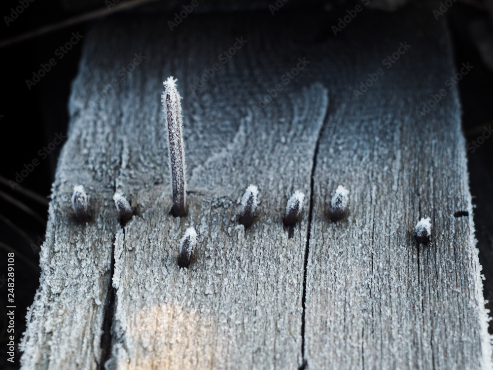 Many rusty nails on a board covered with frost