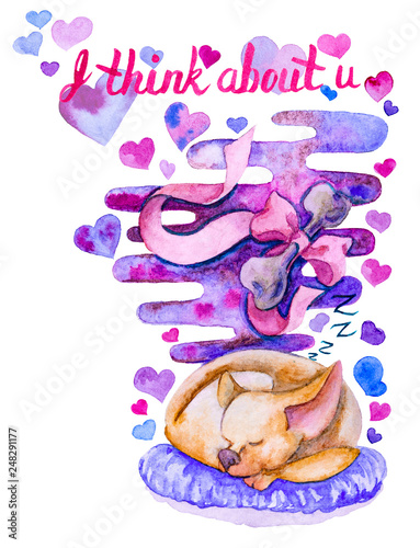 Watercolor Illustration with elements for Valentine's Day. Sleeping dog watercolor portrait. Happy dog sleeping on the rug and sees wonderful dreams