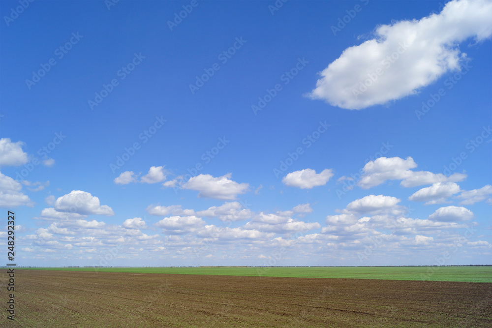 light clouds in sunny weather over an agricultural field. Spring