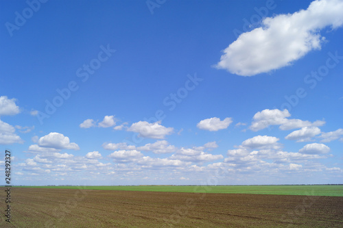 light clouds in sunny weather over an agricultural field. Spring