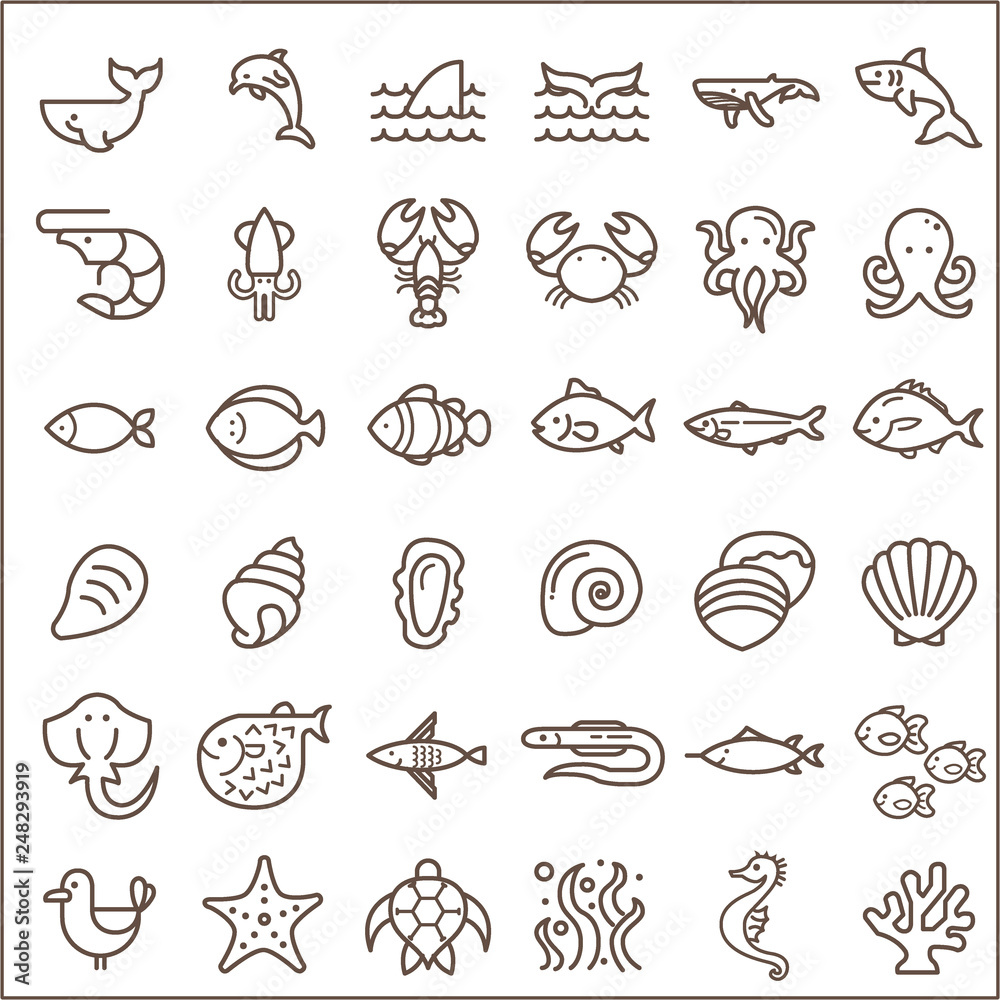 Set of sea creatures and ocean Vector Icons.Contains such Icons as Nautical Creatures , sea food, sea, ocean, fish, coral, sea horse, seaweed, turtle And Other Elements. 