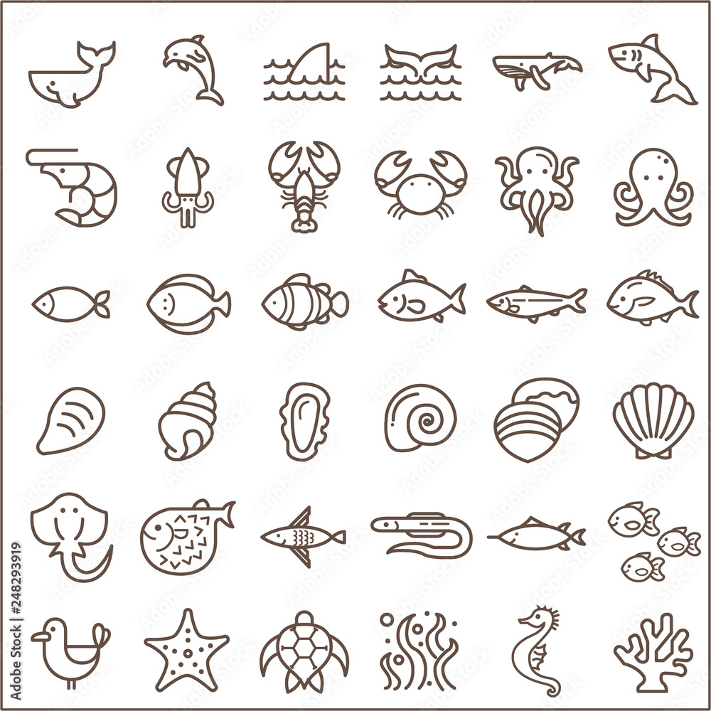 Set of sea creatures and ocean Vector Icons.Contains such Icons as Nautical Creatures , sea food, sea, ocean, fish, coral, sea horse, seaweed, turtle And Other Elements. Set of sea creatures and ocean Vector Icons.Contains such Icons as Nautical Creatures , sea food, sea, ocean, fish, coral, sea horse, seaweed, turtle And Other Elements.