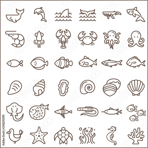 Set of sea creatures and ocean Vector Icons.Contains such Icons as Nautical Creatures , sea food, sea, ocean, fish, coral, sea horse, seaweed, turtle And Other Elements. 