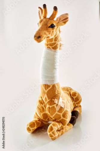 Photography Plush toy giraffe with bandaged neck