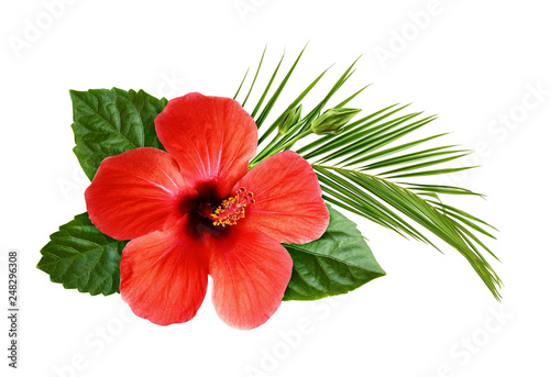 Hibiscus flower with palm leaf in floral tropical composition photo