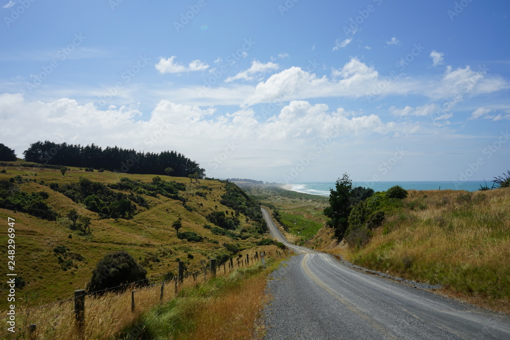 The road less traveled by in New Zealand