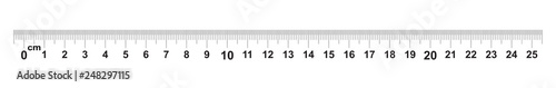 Ruler 25 centimeter. Ruler 250 mm. Value of division 0.5 mm. Precise length measurement device. Calibration grid.