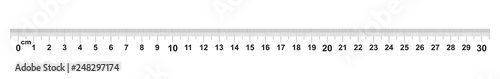 Ruler 30 centimeter. Ruler 300 mm. Value of division 0.5 mm. Precise length measurement device. Calibration grid.