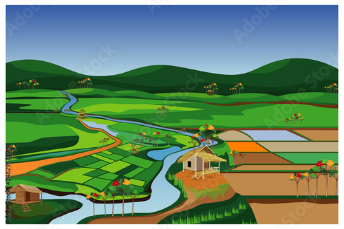 the large paddy field vector design