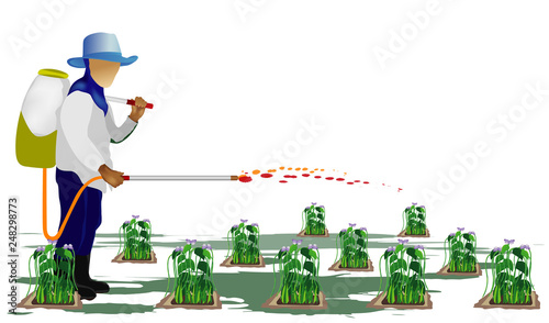 agriculturist sprays bean plant vector design