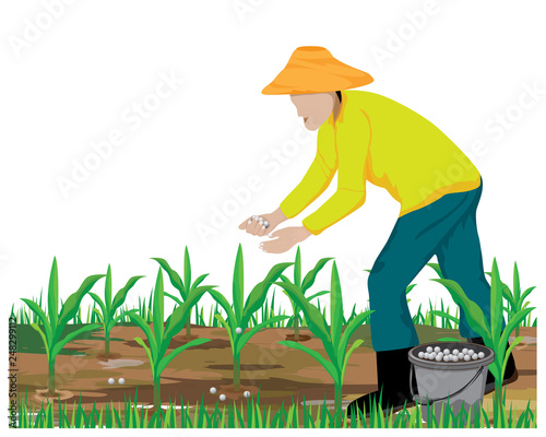 agriculturist manure corn plant vector design