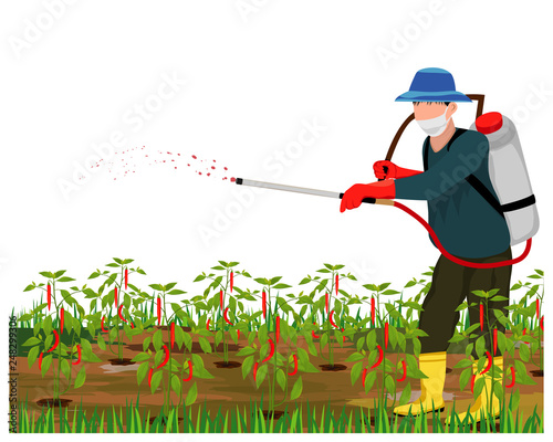 agriculturist sprays chili plant vector design