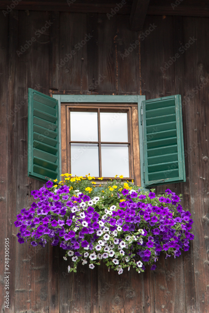 old wooden facade with window, shutters and colorful  flowers
