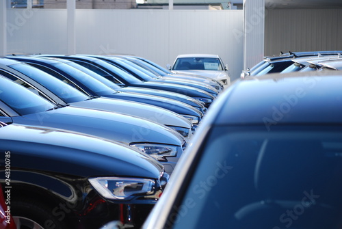 Wallpaper Mural 置場 Torontodigital.ca