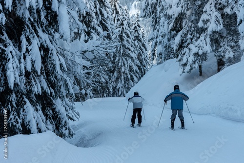 skiers in mountains