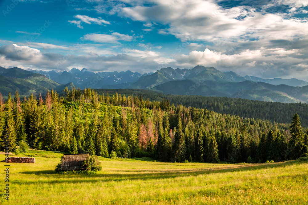 Small cottage on green valley at sunset in Tatra mountains