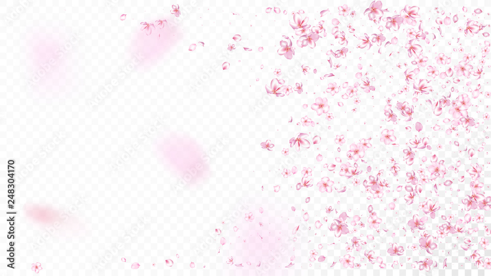 Nice Sakura Blossom Isolated Vector. Magic Blowing 3d Petals Wedding Texture. Japanese Nature Flowers Wallpaper. Valentine, Mother's Day Tender Nice Sakura Blossom Isolated on White