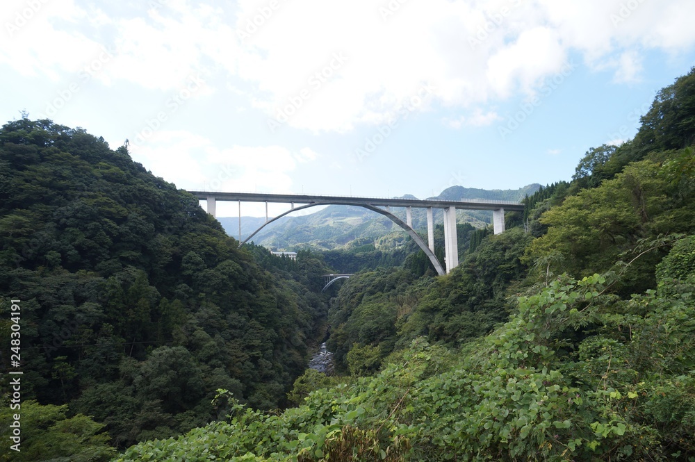 Fototapeta premium bridge over the river
