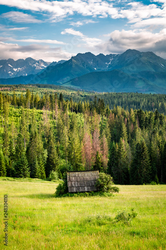 Fototapeta Naklejka Na Ścianę i Meble -  Wooden cottage on green valley, Tatra mountains at sunset