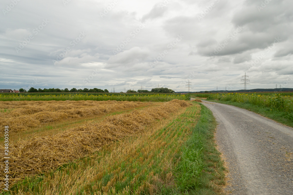 hay harvest ( germany)