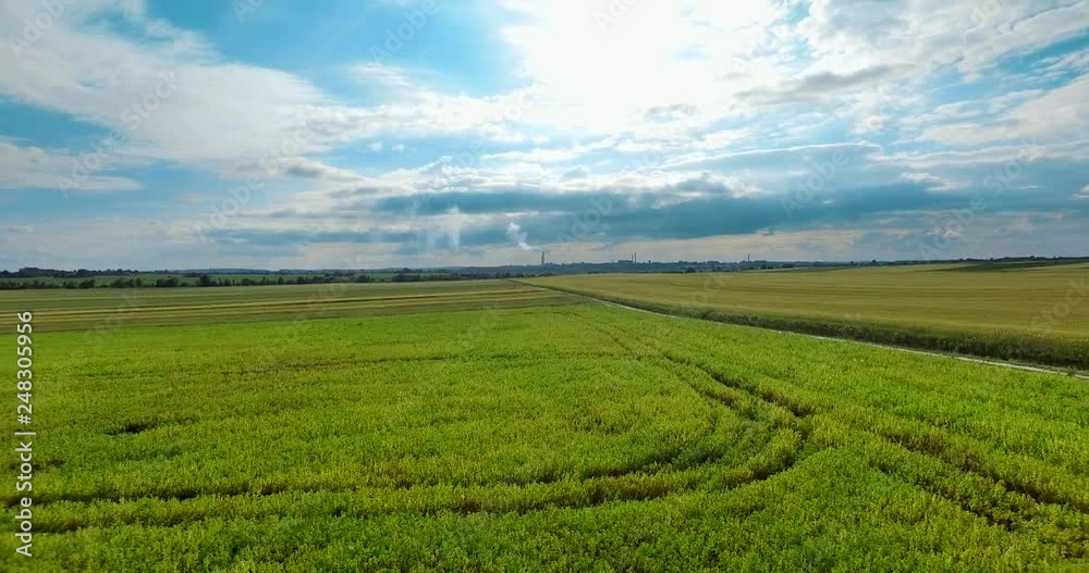 Gray forests, field. Ukraine, Rivne region, Aerial drone view Gray forests, field. Ukraine, Rivne region, Aerial drone view