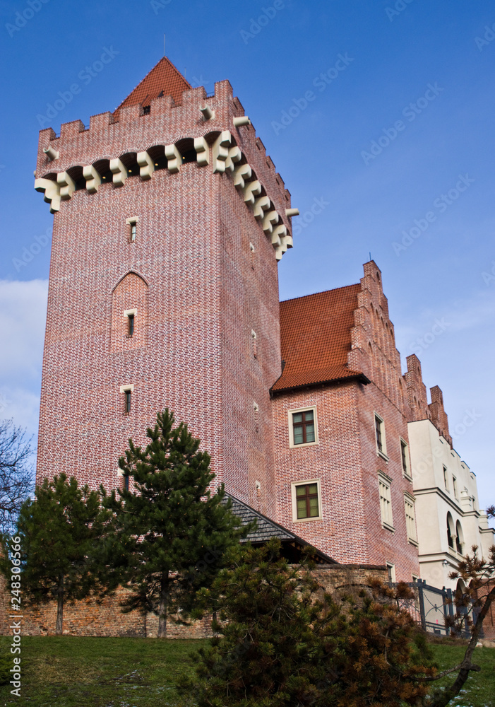 Poznan, Poland, the Royal Castle