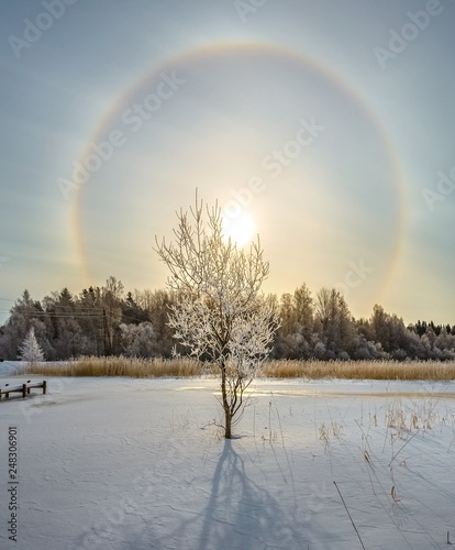 Solar halo. Frosty day  heavenly rainbow. Winter phenomenon.