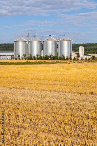 four silver silos in the field after the harvest