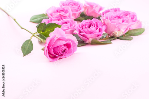 roses and envelope on a light background. Bouquet and letter as a gift in the concept of Valentine s Day and Women s Day. Free space for text.