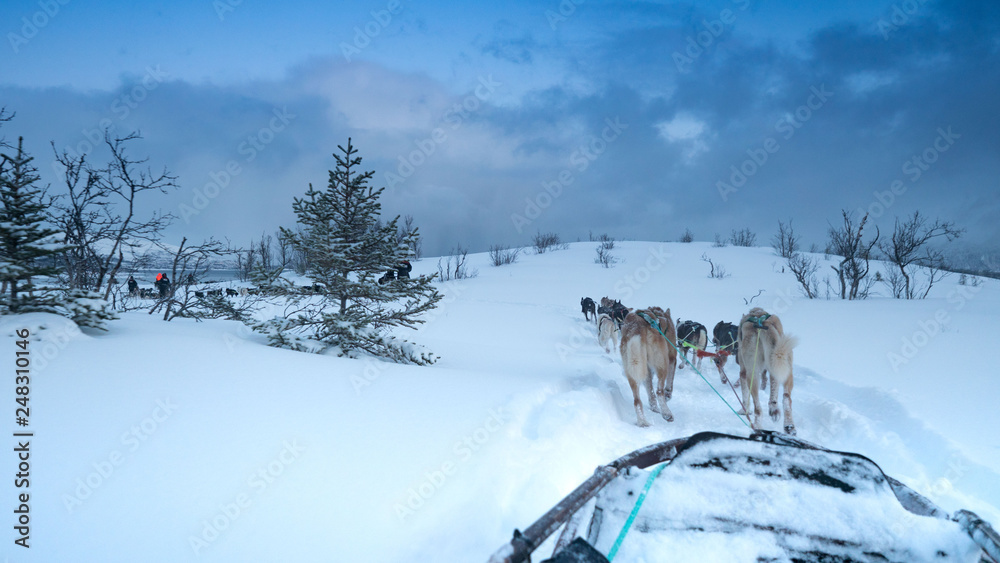 Naklejka premium Norway