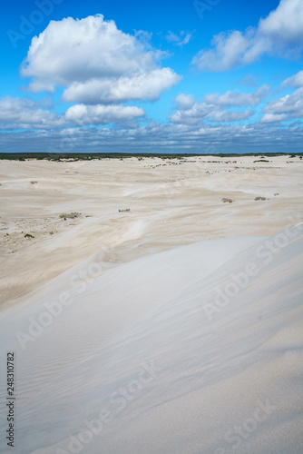 white lancelin sand dunes  western australia 13