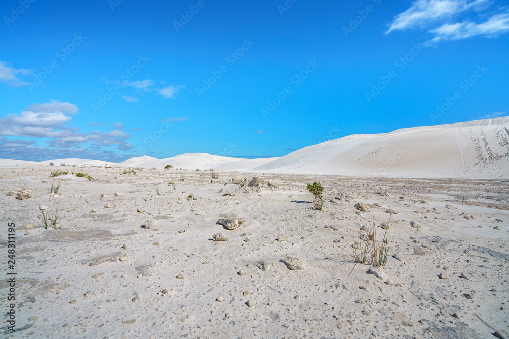 white lancelin sand dunes, western australia 19