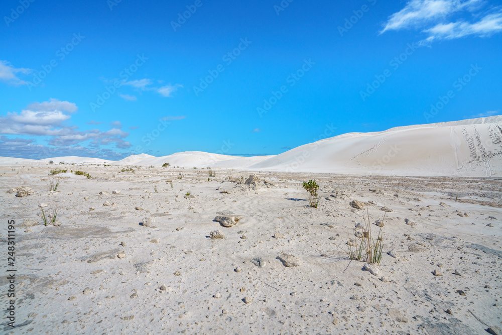 white lancelin sand dunes, western australia 19 white lancelin sand dunes, western australia 19