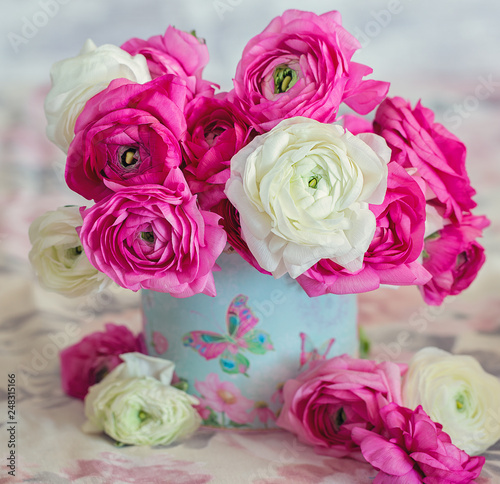 Floral composition with a pink and white Ranunculus flowers.