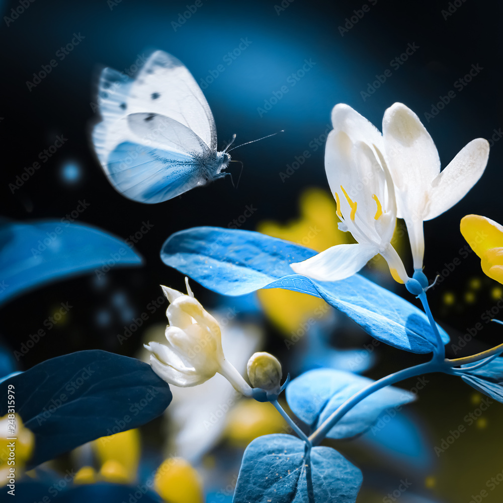 Spring and summer natural background. Beautiful blue butterfly on ...