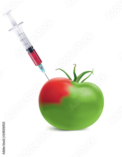 Green tomato with syringe. Food genetic modification concept. Injecting syringe into tomato. Creative vector 3d illustration