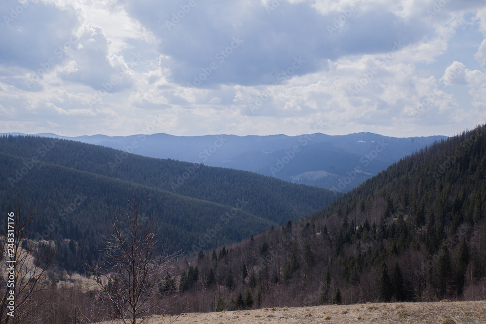 landscape in the mountains