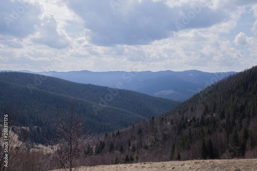 landscape in the mountains