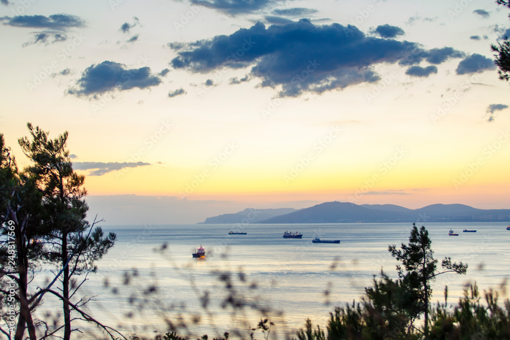 the ships are on the road near the port of Novorossiysk, the Black sea. Photo taken from the steep Bank at sunset through the thickets of Pitsunda pine. the ships are on the road near the port of Novorossiysk, the Black sea. Photo taken from the steep Bank at sunset through the thickets of Pitsunda pine.