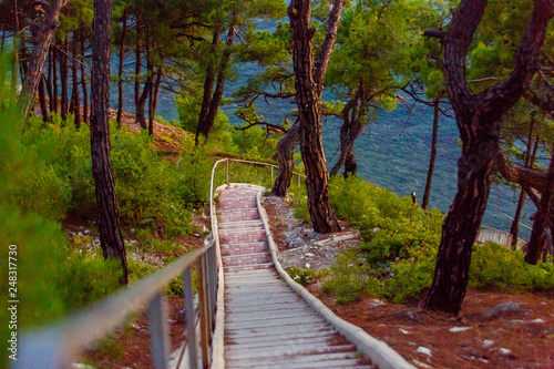 The resort of Gelendzhik  a staircase leads to the sea with steep Bank through the woods Pitsunda pines