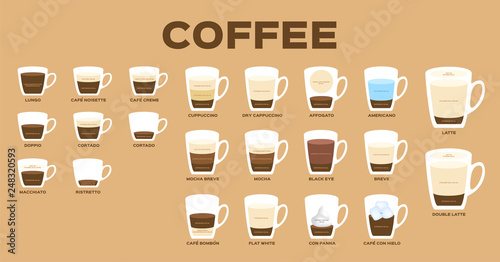 Types of coffee vector / coffee menu infographic version 01