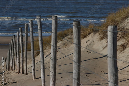 Dünen in der Nähe von Noordwijk