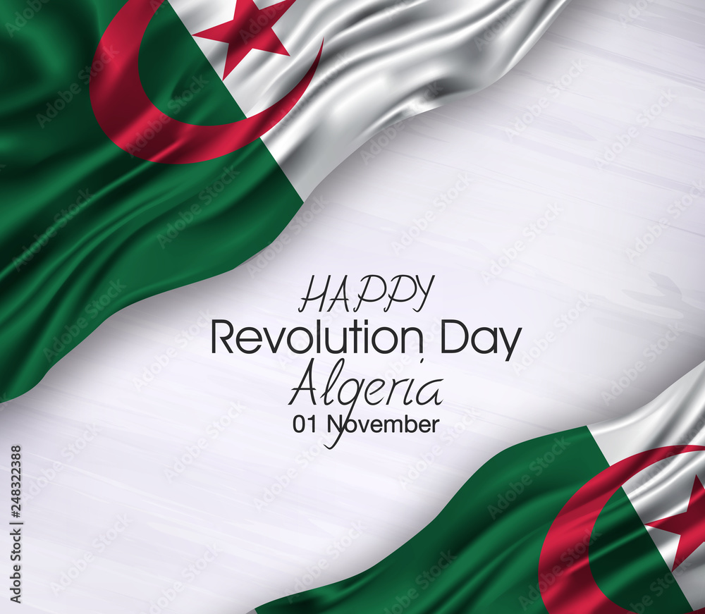 Vector illustration of Happy . Waving flags isolated on gray background