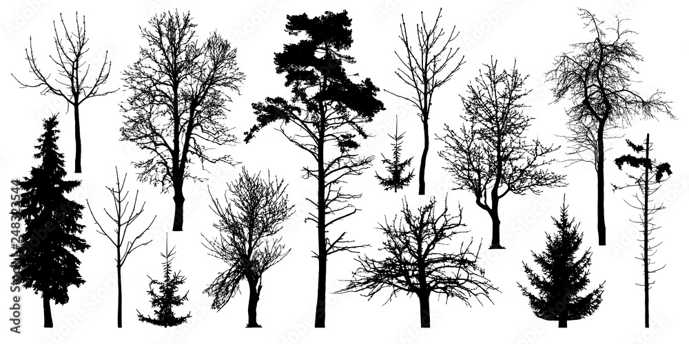 Forest trees without leaves. Winter trees set, silhouette vector
